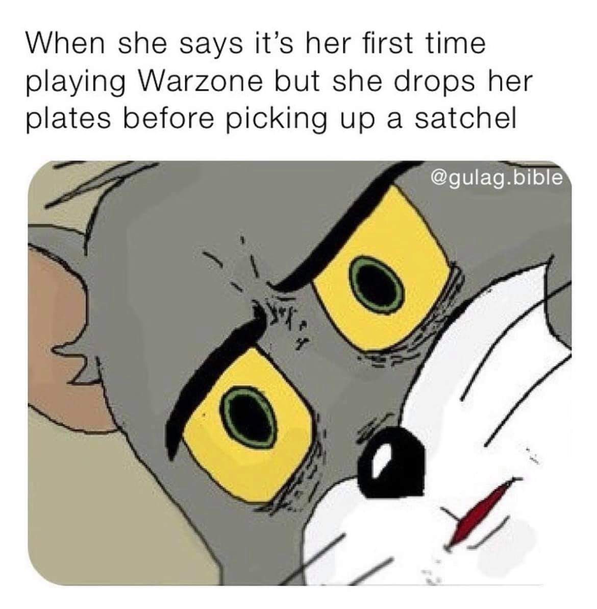 concerned cat memes - When she says it's her first time playing Warzone but she drops her plates before picking up a satchel .bible