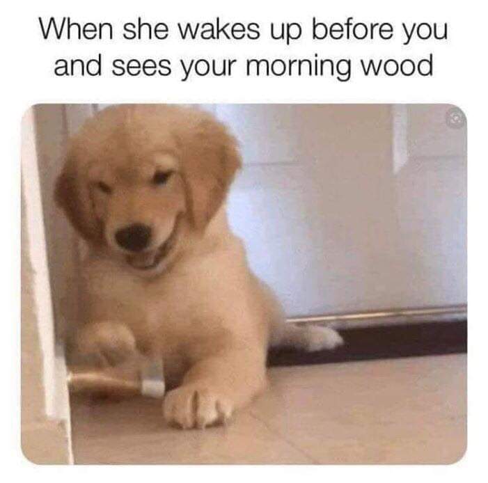 sex memes - she wakes up before you and sees your morning wood - When she wakes up before you and sees your morning wood