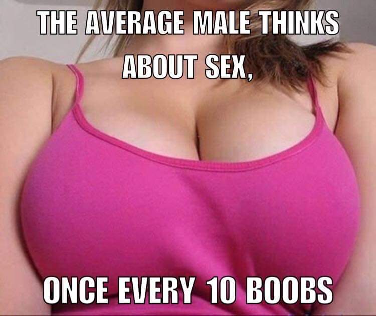 sex memes - brassiere - The Average Male Thinks About Sex Once Every 10 Boobs