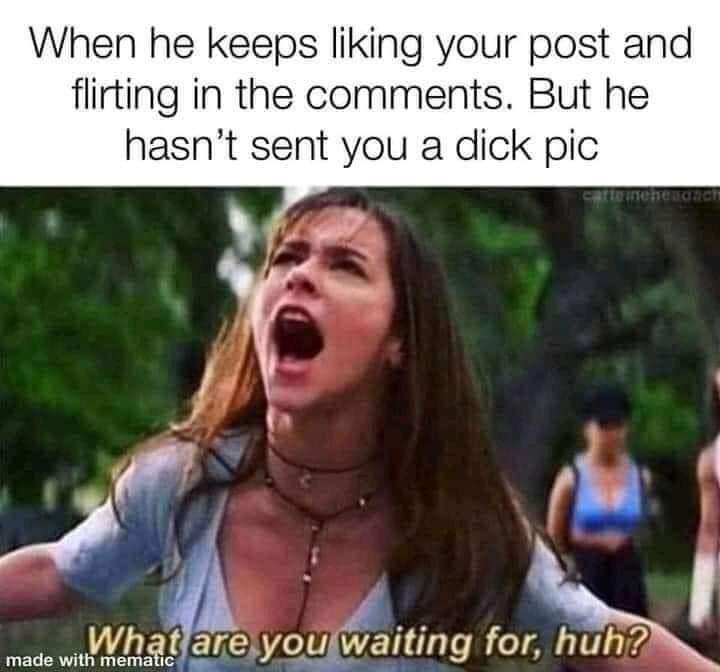 sex memes - know what you did last - When he keeps liking your post and flirting in the . But he hasn't sent you a dick pic Terre What are you waiting for, huh? made with mematic