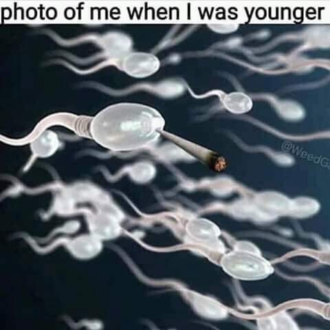 sex memes - male sperms - photo of me when I was younger WeedG