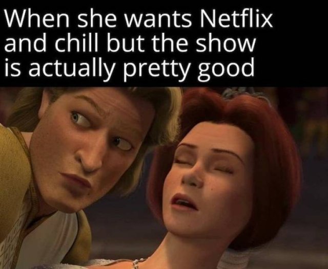 sex memes - netflix and chill meme - When she wants Netflix and chill but the show is actually pretty good
