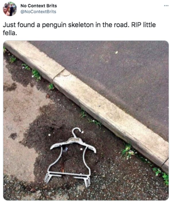funny pics and memes --  penguin skeleton meme - No Context Brits Just found a penguin skeleton in the road. Rip little fella.