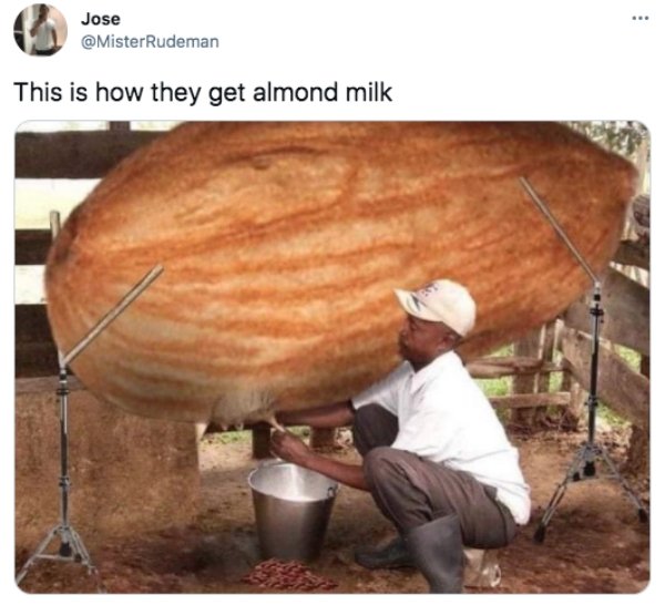 funny pics and memes - almond milk funny - . Jose This is how they get almond milk