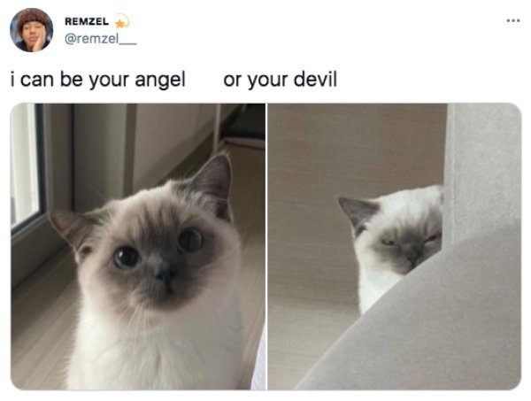 funny pics and memes - can be your angel or devil - Remzel i can be your angel or your devil