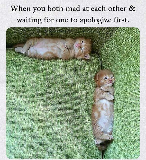 funny pics and memes - you both mad at each other - When you both mad at each other & waiting for one to apologize first.