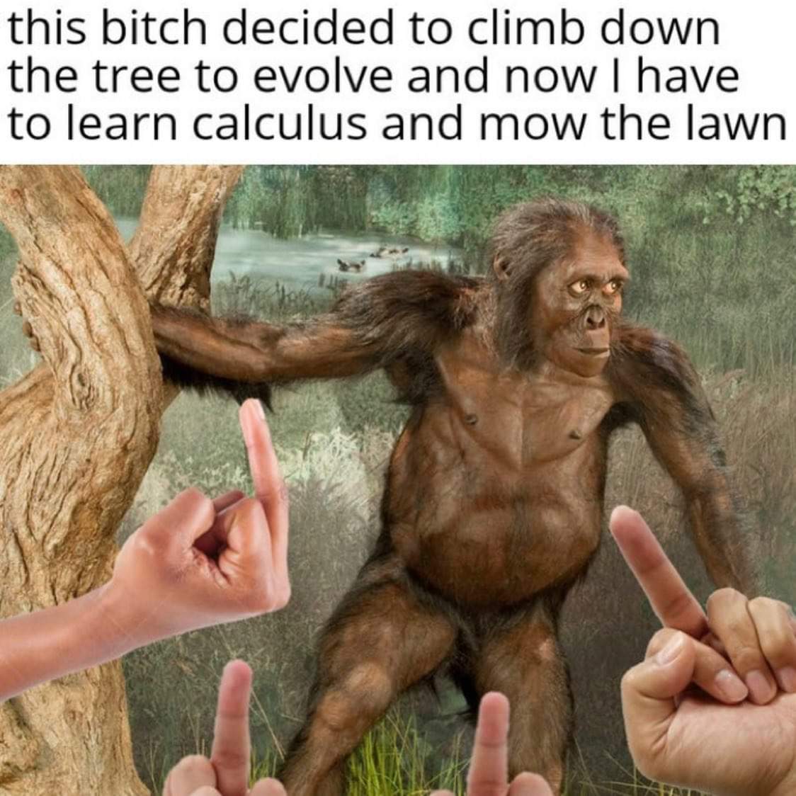 dank memes - full body australopithecus africanus - this bitch decided to climb down the tree to evolve and now I have to learn calculus and mow the lawn re