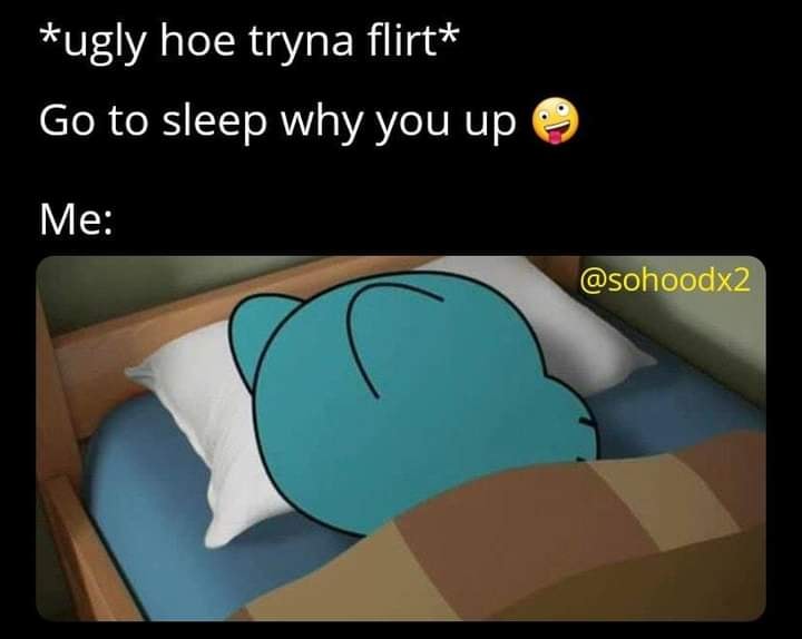 dank memes - ugly hoe tryna flirt Go to sleep why you up Me