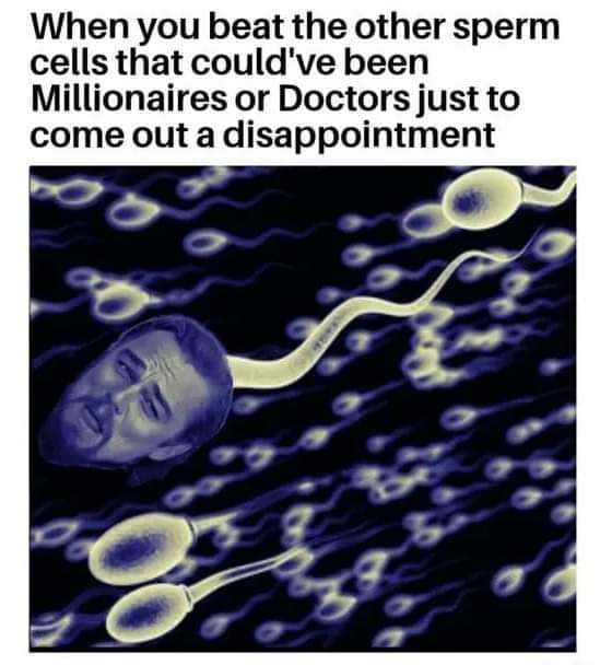 dank memes - leonardo dicaprio sperm meme - When you beat the other sperm cells that could've been Millionaires or Doctors just to come out a disappointment