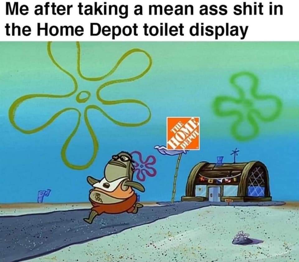 dank memes - home depot toilet meme - Me after taking a mean ass shit in the Home Depot toilet display The Home Depov vu p