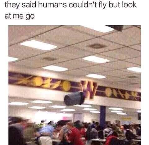 dank memes - you know a food fight got serious - they said humans couldn't fly but look at me go