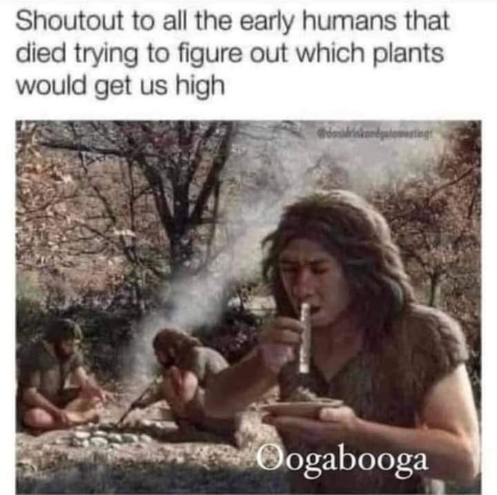 dank memes - neanderthals cooking - Shoutout to all the early humans that died trying to figure out which plants would get us high Glmadeineno yatawasting 2 Oogabooga