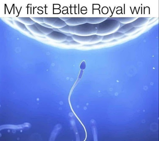 nsfw memes - sperm going to egg - My first Battle Royal win