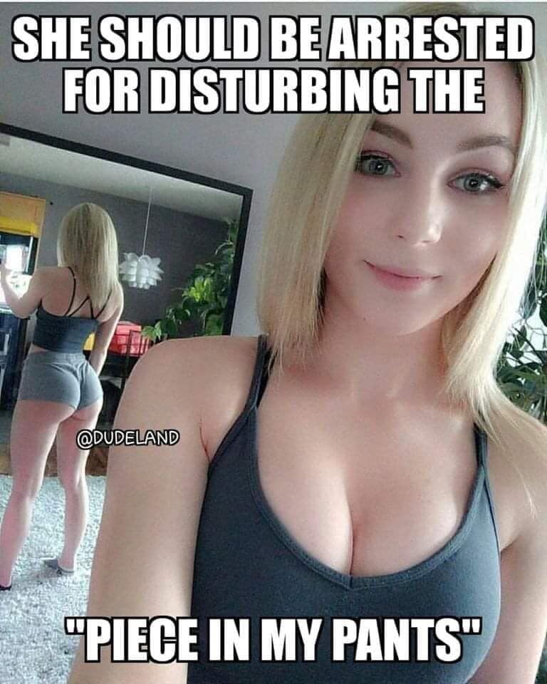 nsfw memes - instagram bad meme - She Should Be Arrested For Disturbing The "Piece In My Pants"