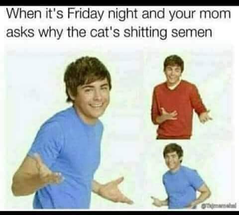 nsfw memes - zac efron meme - When it's Friday night and your mom asks why the cat's shitting semen