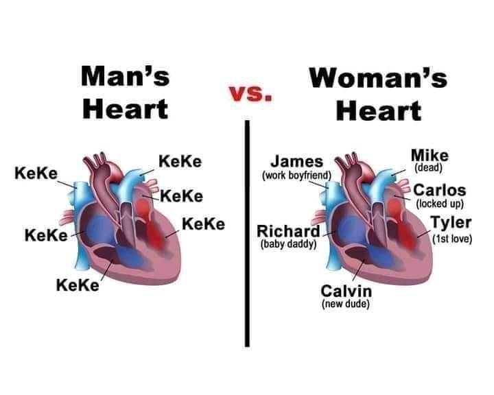 women's heart memes - KeKe Keke Man's Heart Keke Keke Keke Keke Vs. Woman's Heart Mike dead Carlos locked up James work boyfriend Richard baby daddy Calvin new dude Tyler 1st love