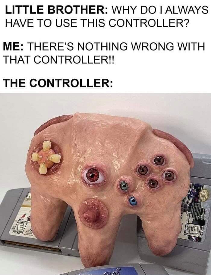 flesh n64 controller - Little Brother Why Do I Always Have To Use This Controller? Me There'S Nothing Wrong With That Controller!! The Controller Cod Wal taman E Fre 130 Everyone Srb