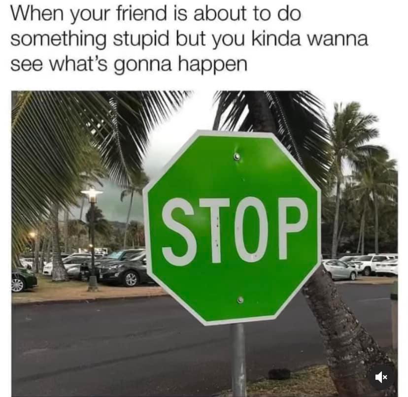 savage memes - green stop sign meme - When your friend is about to do something stupid but you kinda wanna see what's gonna happen Stop