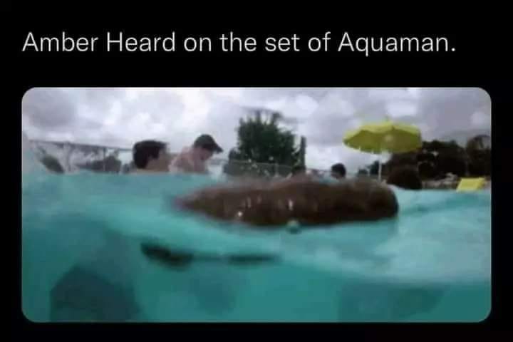 savage memes - water - Amber Heard on the set of Aquaman.