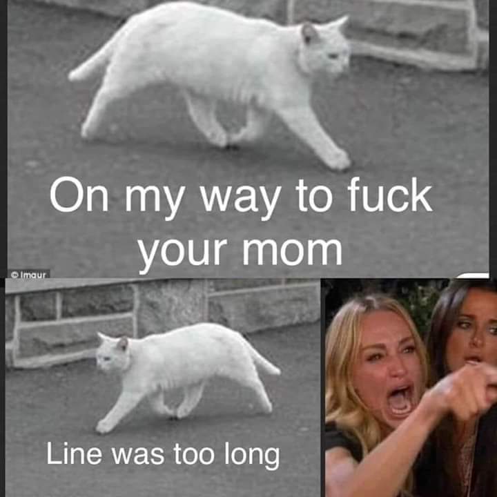 dirty and nsfw memes - two legged cat - On my way to fuck your mom Imaur Line was too long