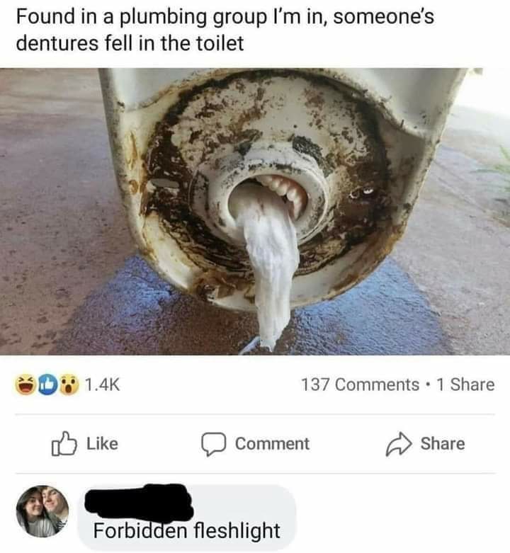 adult themed memes - Found in a plumbing group I'm in, someone's dentures fell in the toilet 137 1 Comment Forbidden fleshlight