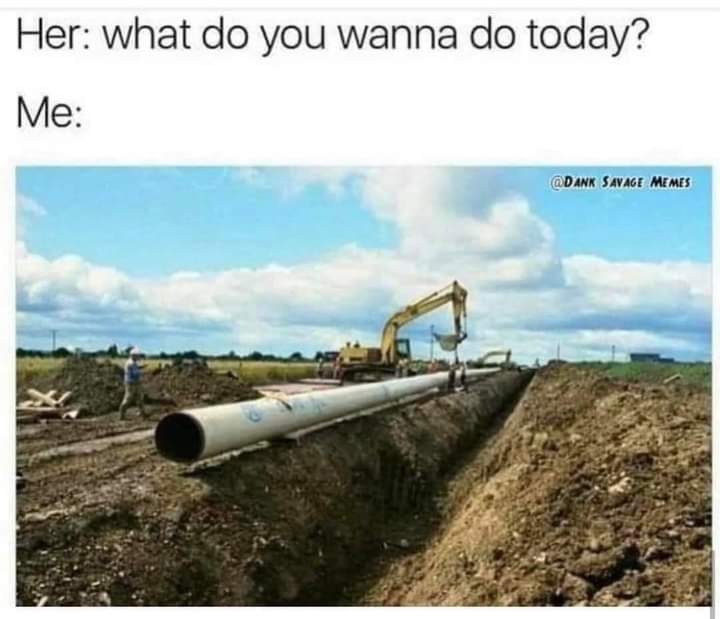 adult themed memes - pipe laying meme - Her what do you wanna do today? Me Savage Memes