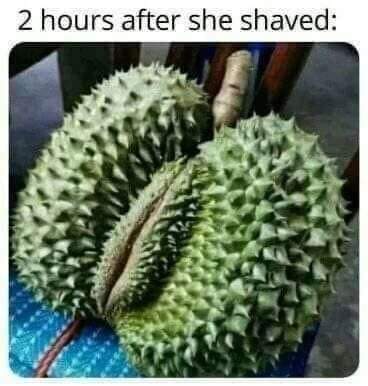 thirsty thursday adult memes - durian - 2 hours after she shaved