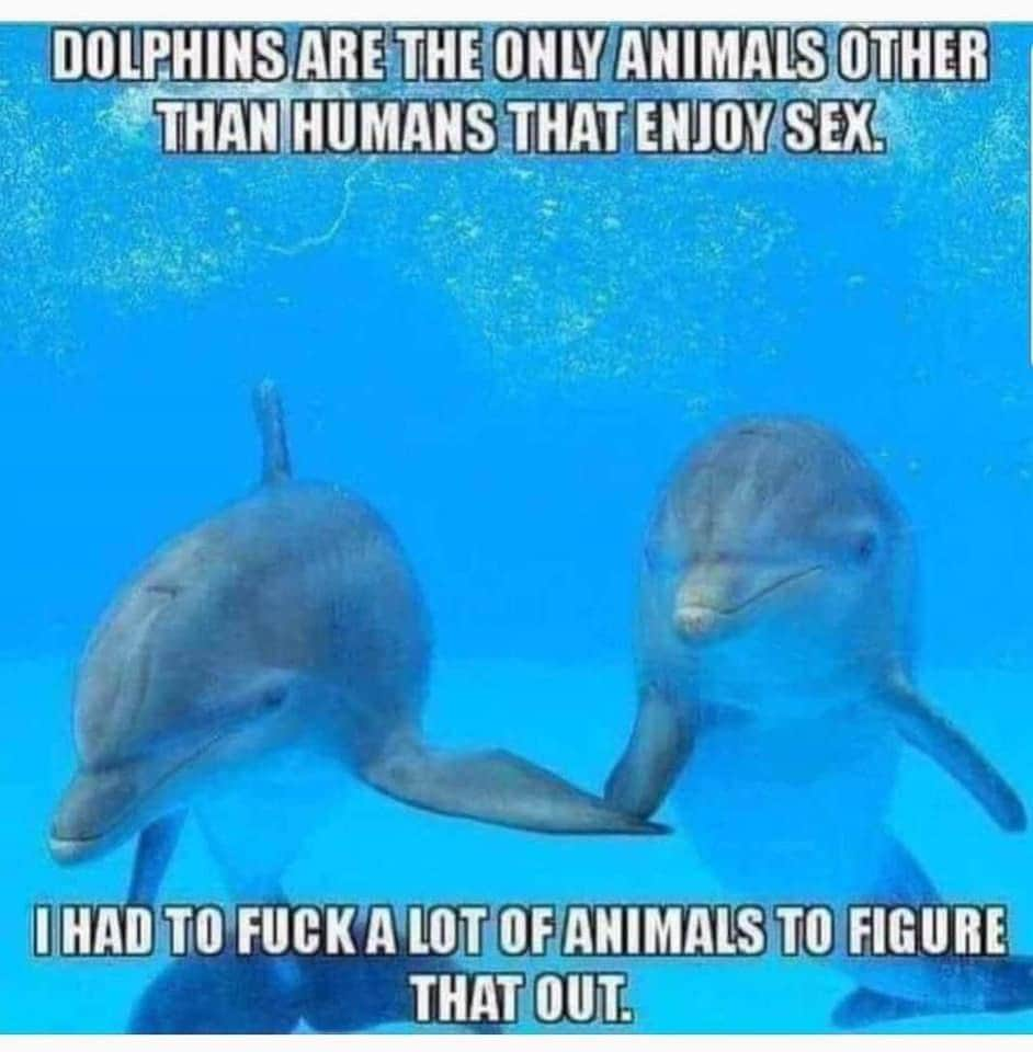 thirsty thursday adult memes - common bottlenose dolphin - Dolphins Are The Only Animals Other Than Humans That Enjoy Sex. I Had To Fuck A Lot Of Animals To Figure That Out.