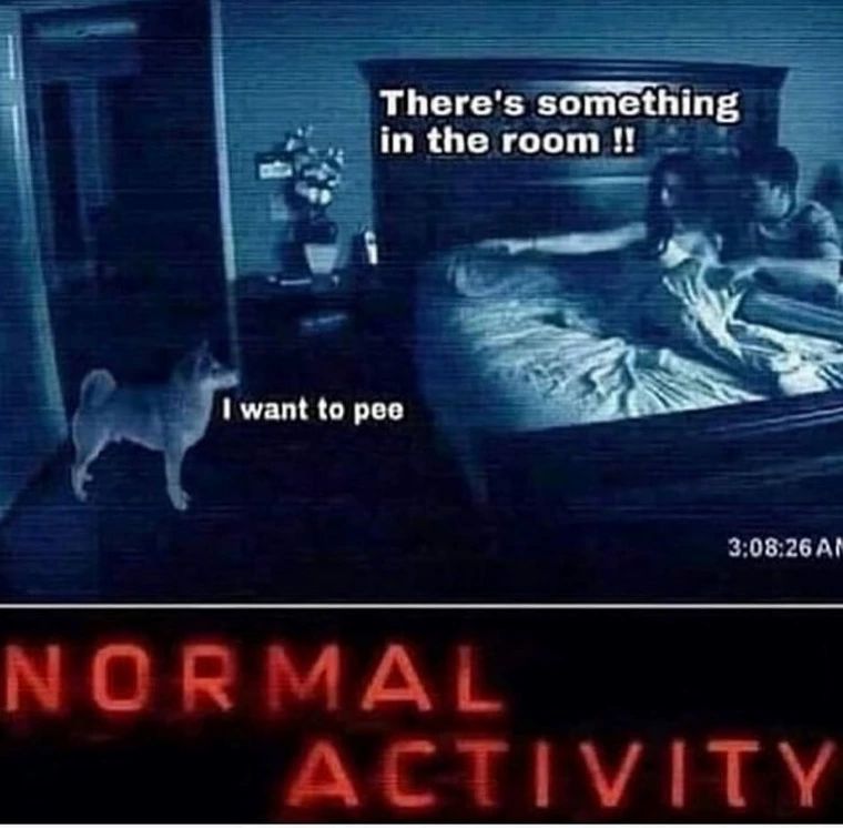 monday morning randomness - abnormal activity - There's something in the room !! I want to pee Normal 26 Am Activity