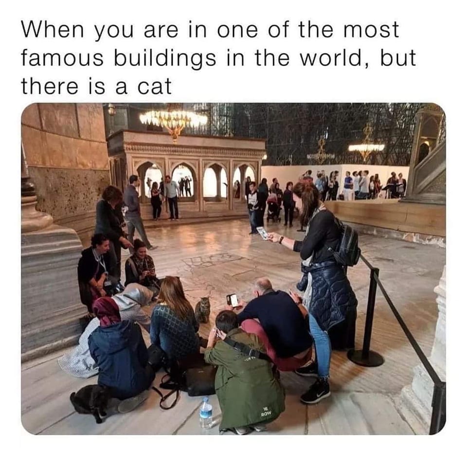 monday morning randomness - hagia sophia museum - When you are in one of the most famous buildings in the world, but there is a cat Row