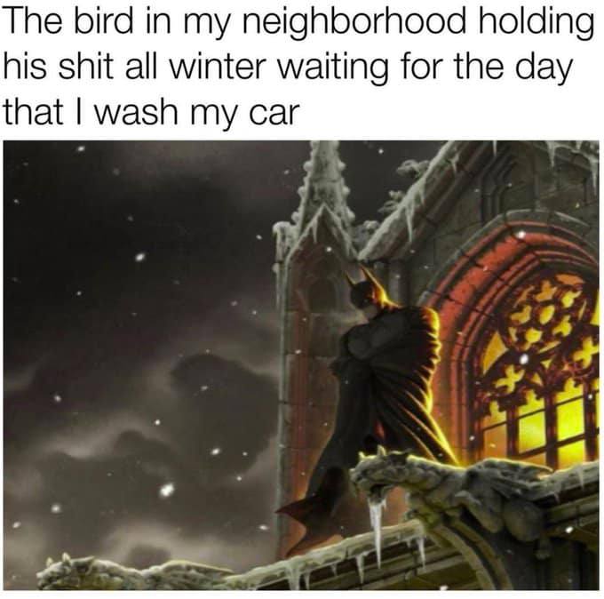elon musk batman tweet - The bird in my neighborhood holding his shit all winter waiting for the day that I wash my car
