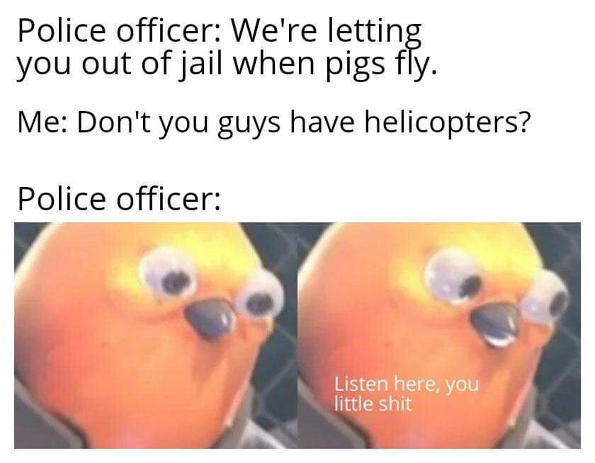 police memes reddit - Police officer We're letting you out of jail when pigs fly. Me Don't you guys have helicopters? Police officer Listen here, you little shit