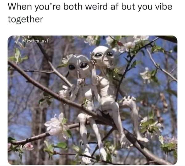 tree - When you're both weird af but you vibe together Mystical.asf Mine