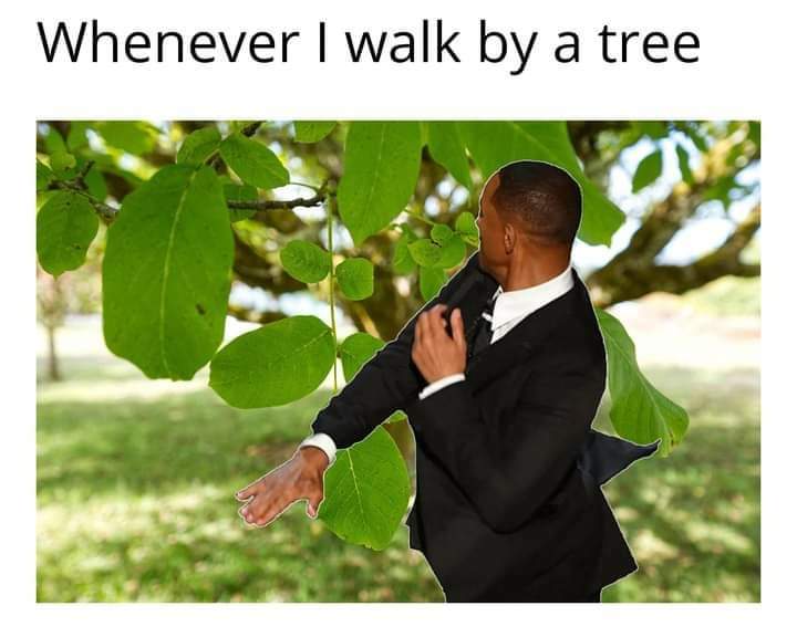 tree - Whenever I walk by a tree