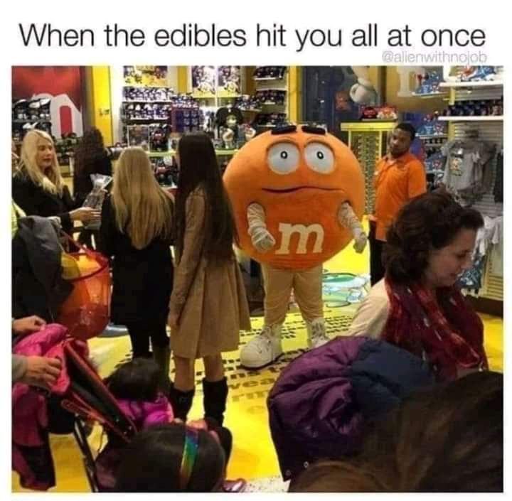 mascot - When the edibles hit you all at once m Hida