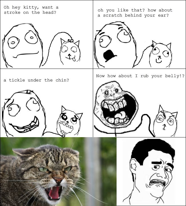 petting a cat rage