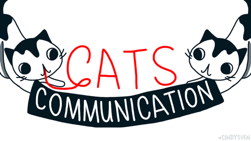 Cat Communication