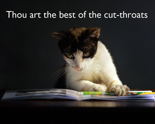 Shakespearean Insults, With Cats