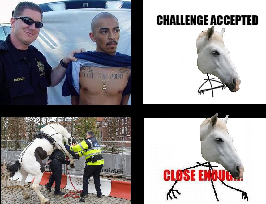 Mr Ed Accepts a challenge