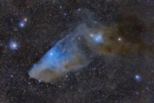 APOD: 2013 April 2  IC 4592: The Blue Horsehead Reflection Nebula