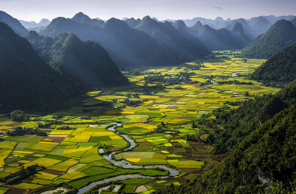 This photo was taken 617 meters in the air over a rice paddy field in Hanoi, Vietnam. Vietnam produces 42.3 million tons of rice per year.