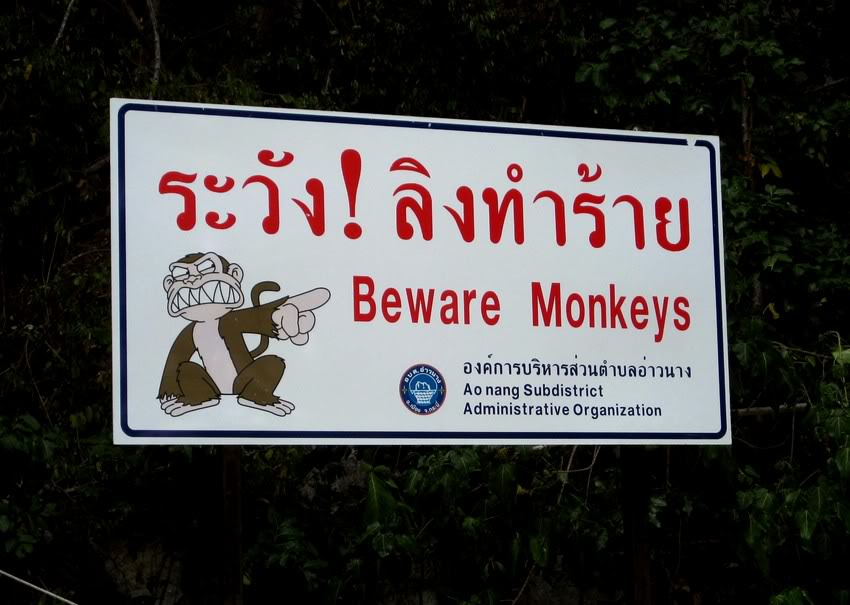 Beware of the monkey