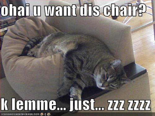 funny cat snoqualmie falls - ohaiu want dis chair? k lemme... just... Zzz Zzzz Toanhasoherzburger.Com