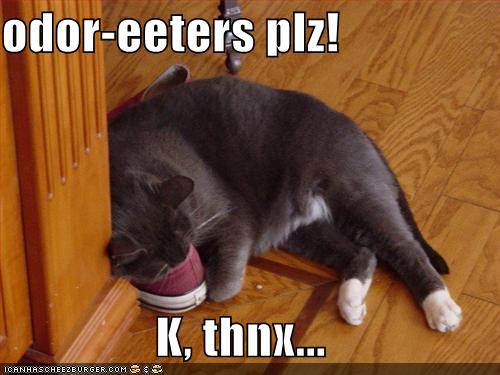funny cat photo caption - odoreeters plz! K. thnx... Tcanhascheezburger.Com