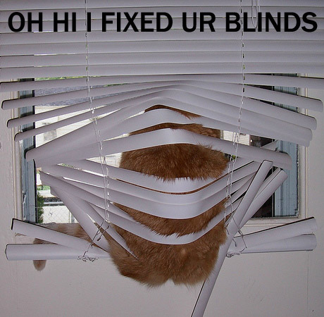 funny cat oh hi i fixed your - Oh He I Fixed Ur Blinds