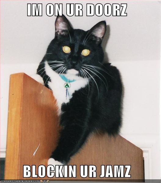 funny cat photo caption - Im On Ur Doorz Blockin Ur Jamz Icanmascherzburgericom