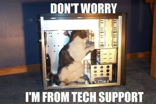 funny cat tech support - Don'T Worry Ill. Lui. Ii. I'M From Tech Support