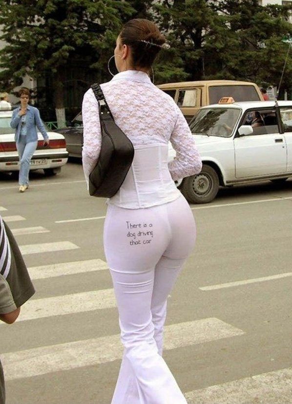 Ward's Random Picture Dump