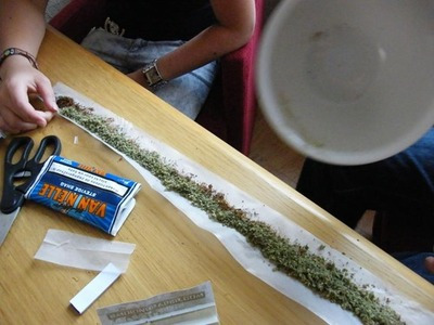 Ward's Random Picture Dump