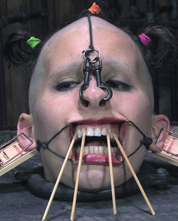 Ward's Random Picture Dump